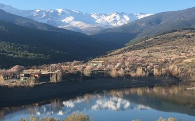 Presa del Castañar – Corrales de Almansa – Cortijo del Rosal – Refugio de Ubeire