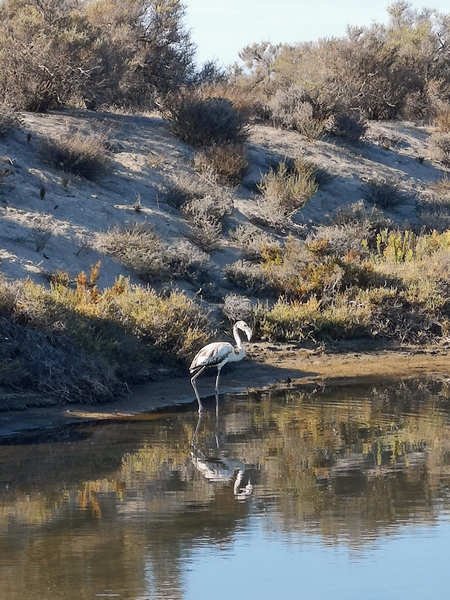 Punta Entinas - Sabinar