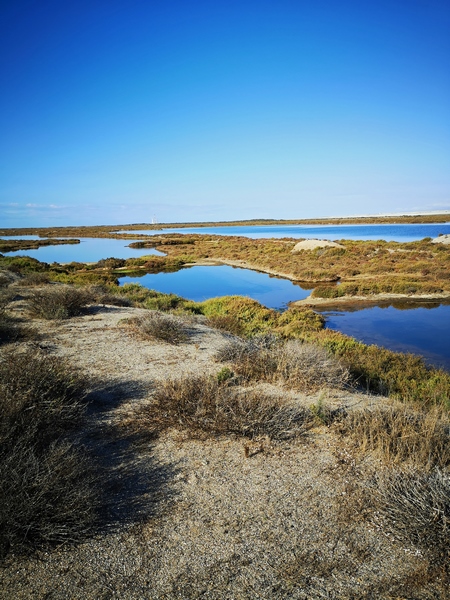 Punta Entinas - Sabinar