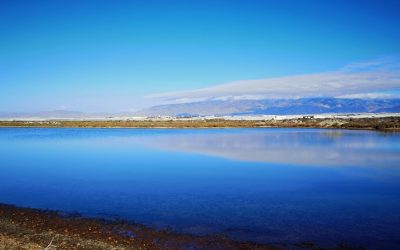 CUARTA SALIDA TEMP. 2021-2022: PARAJE NATURAL PUNTA ENTINAS – SABINAR. (SALIDA SUBVENCIONADA POR EL AYUNTAMIENTO DE ROQUETAS DE MAR)