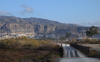 MONTAJE DE FOTOS SEXTA SALIDA TEMP. 2021-2022: CORREDOR VERDE ROQUETAS – AGUADULCE. (SALIDA SUBVENCIONADA POR EL AYTO. DE ROQUETAS DE MAR)