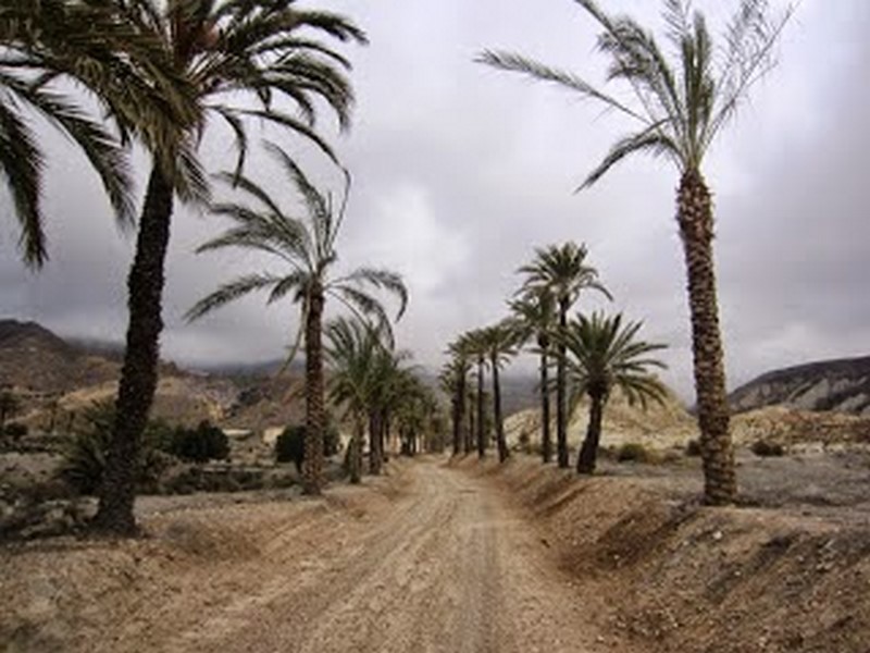 BAÑOS SIERRA ALHAMILLA