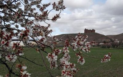 UNDÉCIMA SALIDA TEMP. 2021-2022: HUÉNEJA – LA CALAHORRA (CAMINO MOZÁRABE)