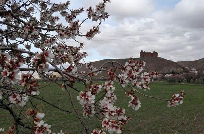 UNDÉCIMA SALIDA TEMP. 2021-2022: HUÉNEJA – LA CALAHORRA (CAMINO MOZÁRABE)