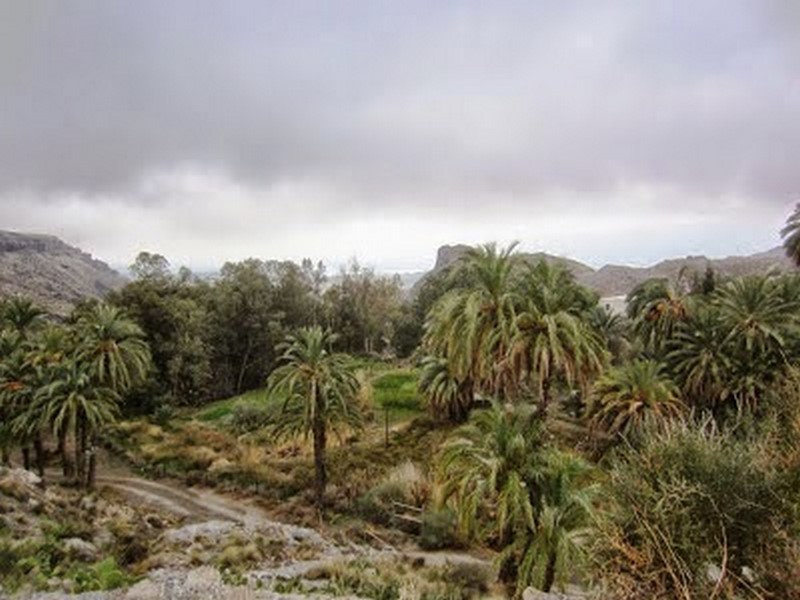 DECIMOTERCERA SALIDA TEMP. 2021-2022: DE PECHINA A SIERRA ALHAMILLA Y VUELTA…