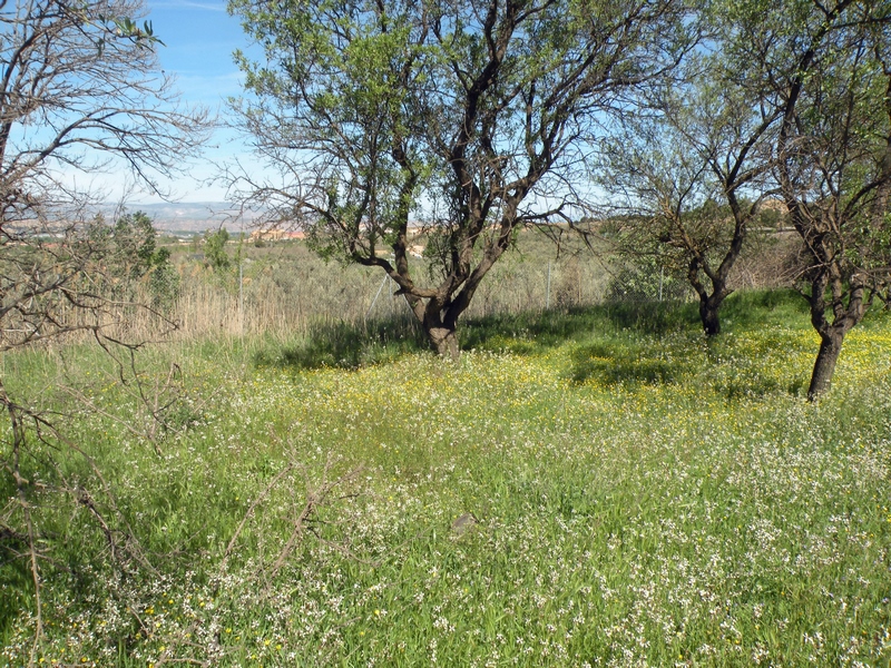 GUADIX