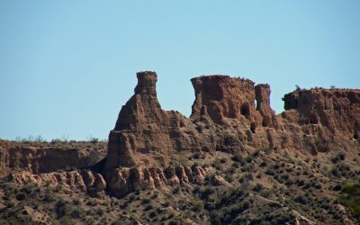 MONTAJE DE FOTOS DE LA DECIMOCUARTA SALIDA TEMPORADA 2021-2022: VEGA DE GUADIX – TORRECILLA DE BAZA