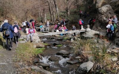 MONTAJE DE FOTOS  SÉPTIMA SALIDA TEMP. 2022-2023:ACEQUIA BAJA Y ALTA DE  MECINA BOMBARÓN.