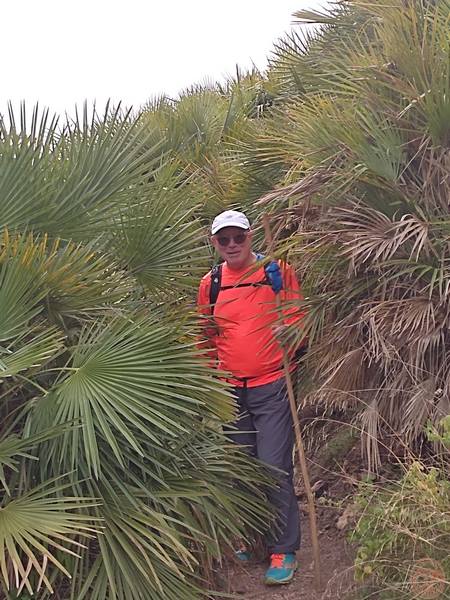 CERRO CINTO