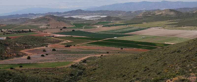 CERRO CINTO