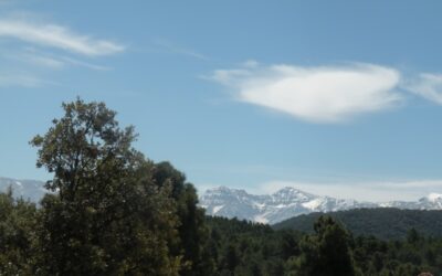 DÉCIMA SALIDA TEMP. 2022-2023: SIERRA DE HUETOR. LA CAÑADA DEL SERENO