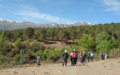 MONTAJE DE FOTOS  UNDÉCIMA SALIDA TEMP. 2022-2023: JÉREZ DEL MARQUESADO. RUTA DEL POLEO Y SL-A 280