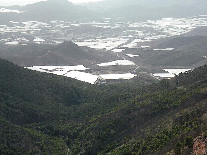 MINAS DE BERJA