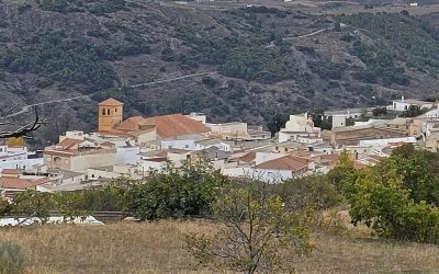 SEGUNDA SAL. TEMP. 2024-2025: SENDERO DEL AGUA Y CASTAÑAR DE PATERNA DEL RIO