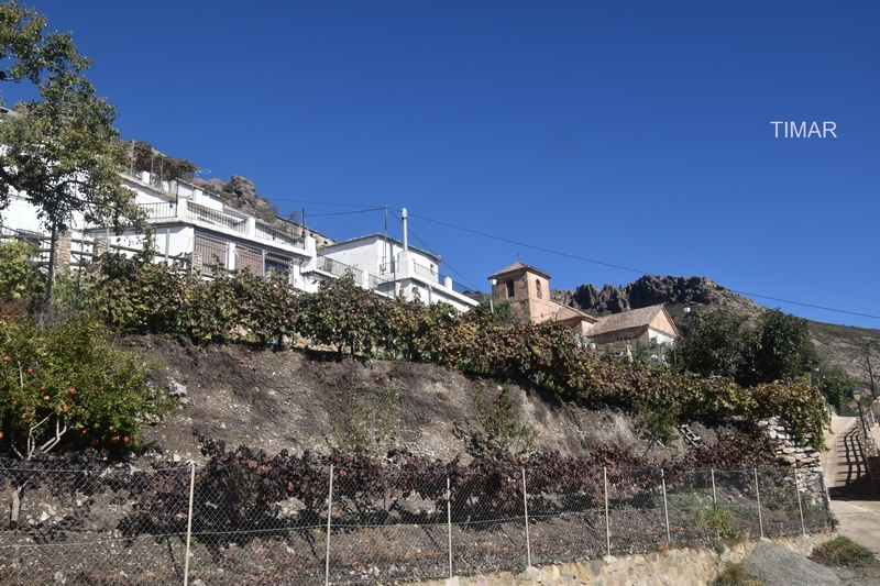 CADIAR _ VISTA DE TIMAR