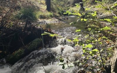 CUARTA SALIDA TEMP. 2025-2026: ALDEIRE-RIO BENÉJAR-ÁREA RECREATICA LA ROSANDRÁ-EL HORCAJO-ALDEIRE.