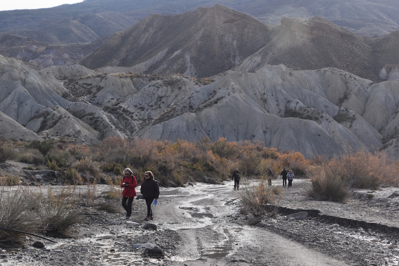 DESIERTO DE TABERNAS