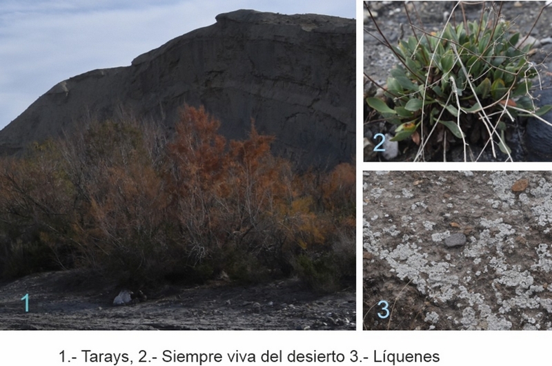DESIERTO DE TABERNAS