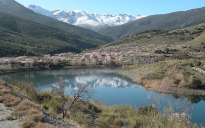 DÉCIMA SALIDA TEMP. 2025-2026: PANTANETA DE FIÑANA – REFUGIO DE UBEIRE Y VUELTA
