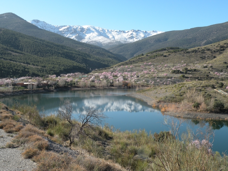 PANTANETA DE FIÑANA