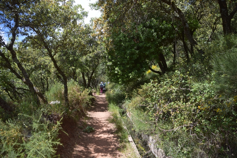 PRADO NEGRO_ ACEQUIA DEL FARBES