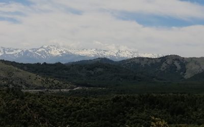 DECIMOTERCERA SAL. TEMP. 2025-2026: CIRCULAR FUENTE DE LOS POTROS – CASCADAS DE PRADO NEGRO – ACEQUIA DEL FARDES