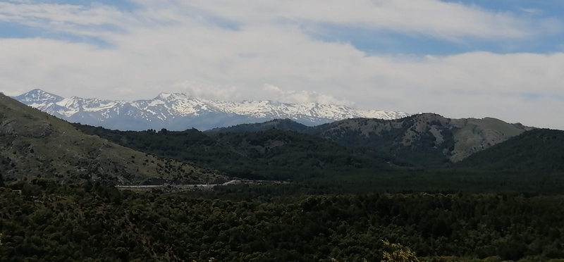 PRADO NEGRO